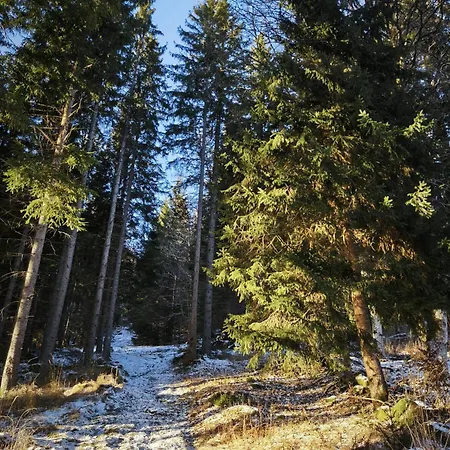 Na šumavě, Stylový S Domácími Lázněmi