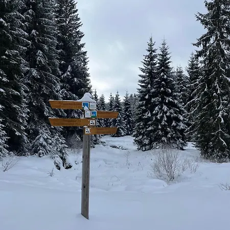 Na Sumave, Stylovy S Domacimi Laznemi